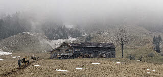 Landscape 2